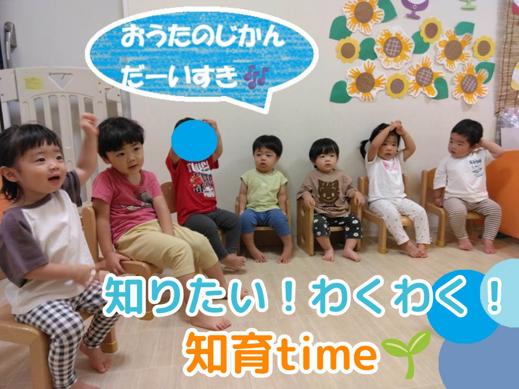 知りたい！わくわく！知育time🌱